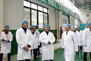 1542961018412674.jpg _MG_3966_副本.jpg